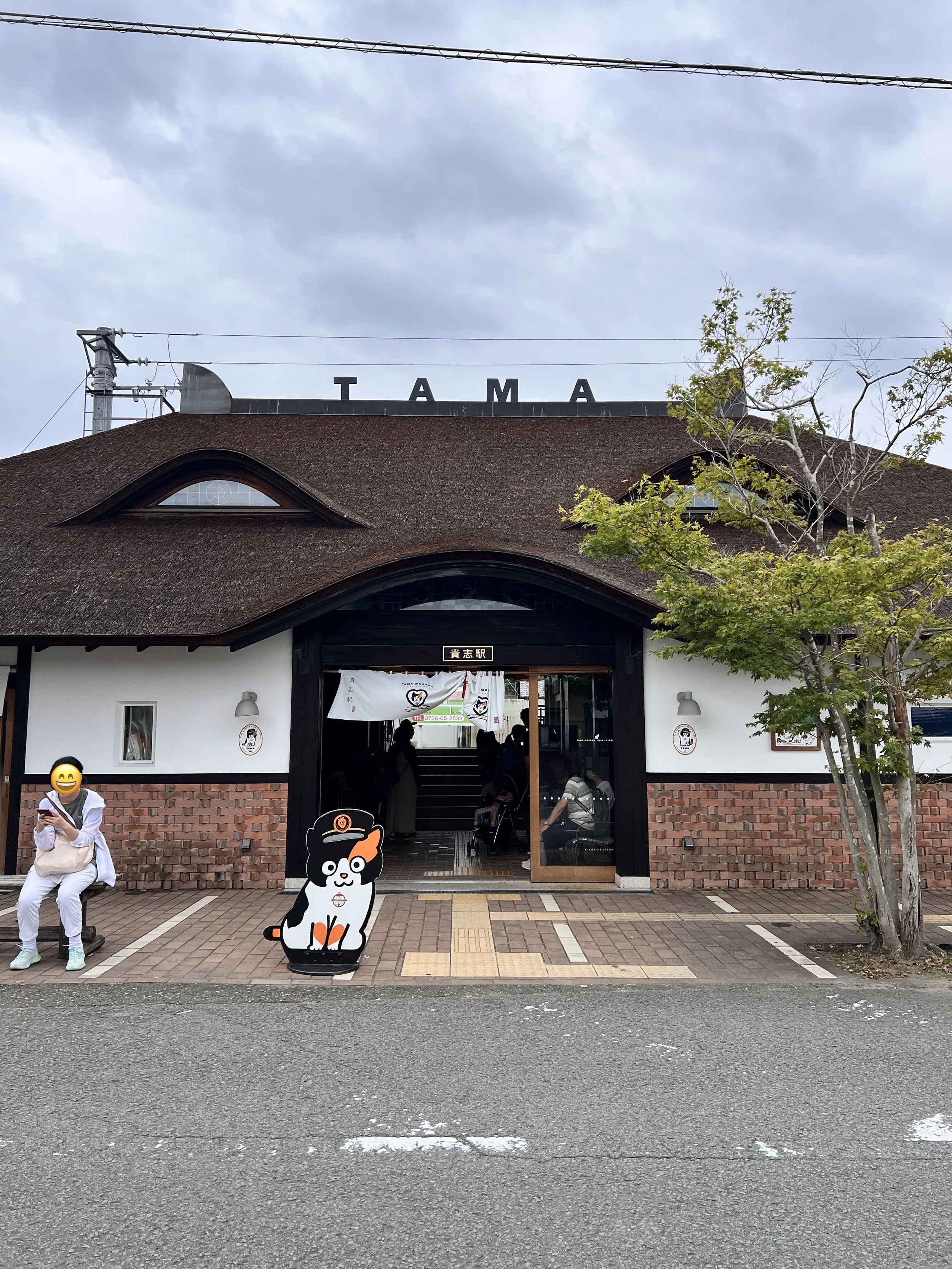 All Aboard the Cat Train! Fun and Unique Day-Trip Idea While